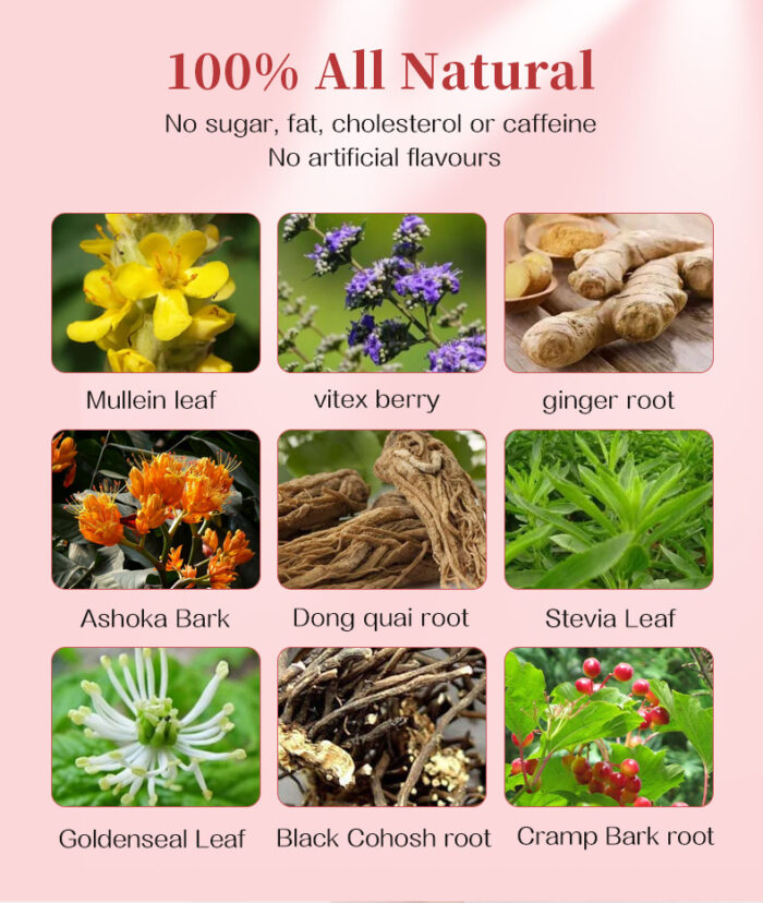 Fibroid Tea 20 Packs/Box - Image 3