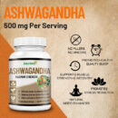 ASHWAGANDHA MAXIMUM STRENGTH Capsules 60/Bottle