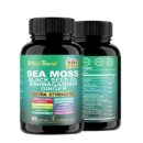Xilaizhi Capsule Sea Moss Capsules 60/Bottle