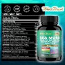 Xilaizhi Capsule Sea Moss Capsules 60/Bottle