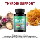 Xilaizhi Capsule Sea Moss Capsules 60/Bottle