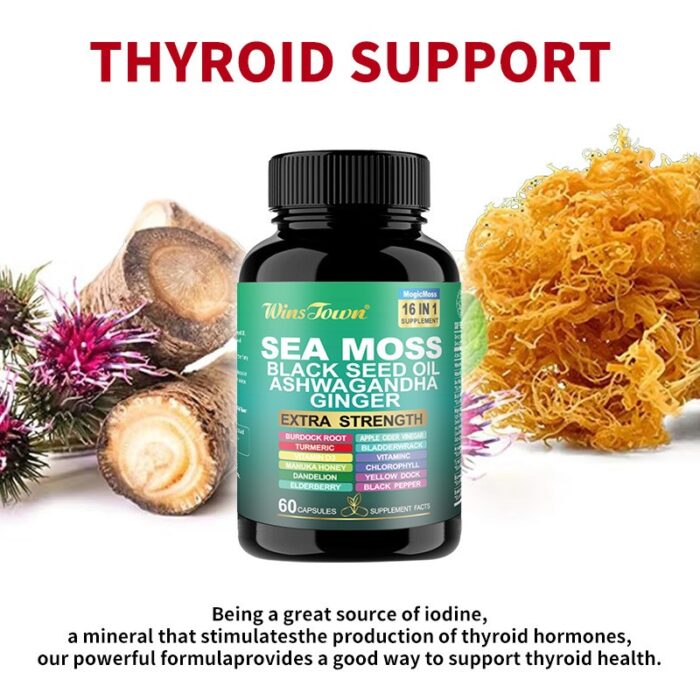 Xilaizhi Capsule Sea Moss Capsules 60/Bottle - Image 2