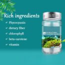 Spirulina Tablets 100 Tablets/Bottle