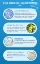 Probiotic 20 Packs/Box